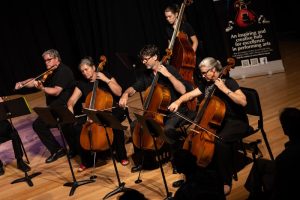 Adult Chamber Orchestra Coffs Harbour